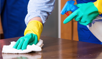 Eco-Friendly Cleaning Services